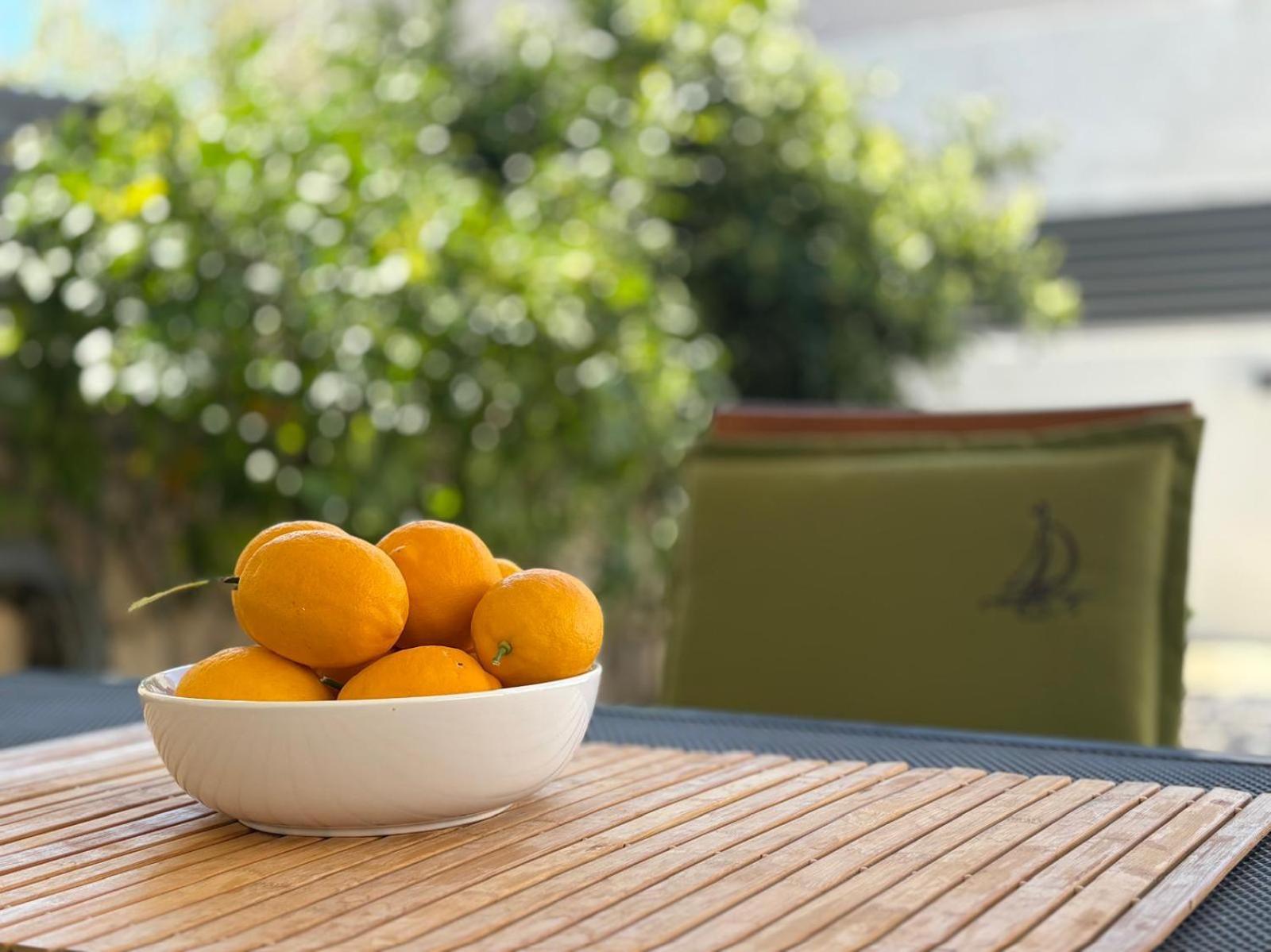 Spacious Chic Residence 扎达尔 外观 照片